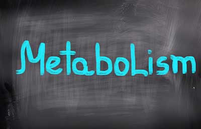 Metabolism on chalkboard